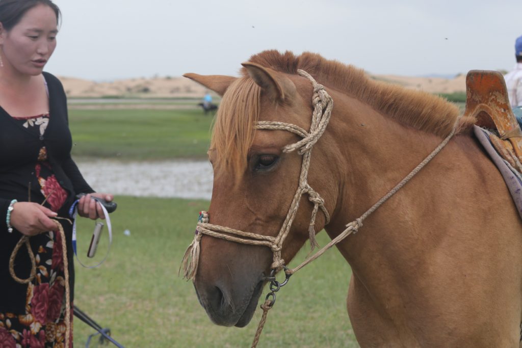 Mongolian horse woman