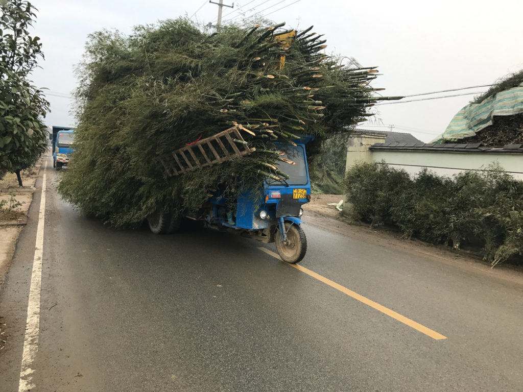Bamboo load