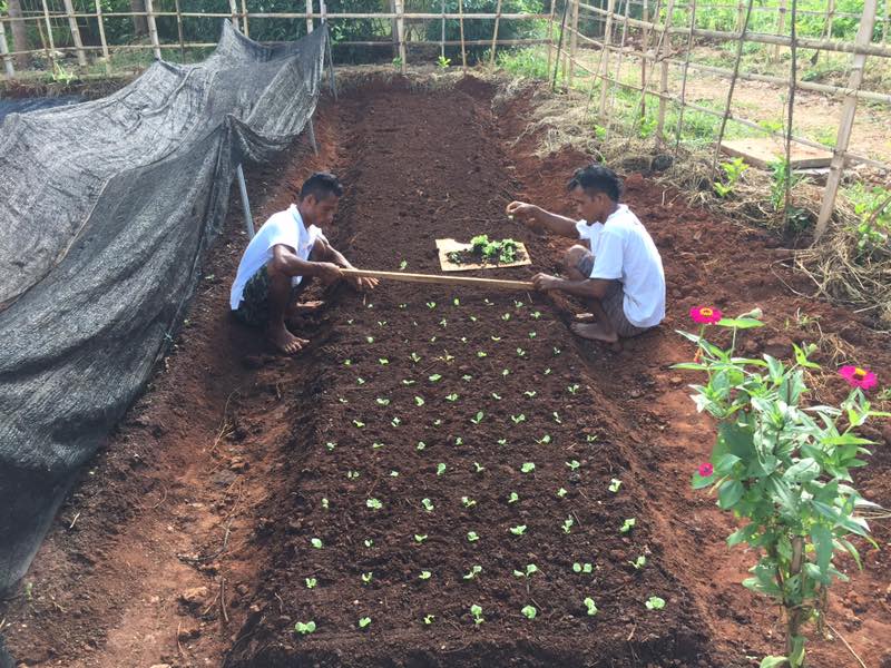 Sumba Hospirality Foundation permaculture gardens