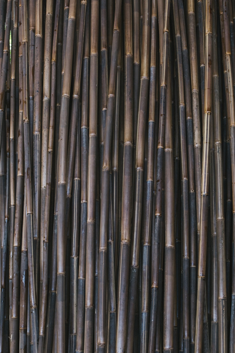 Bamboo in Bali